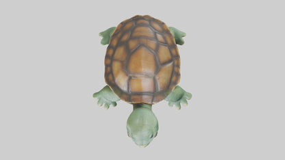 3D model Baby Turtle Model 1 VR / AR / low-poly