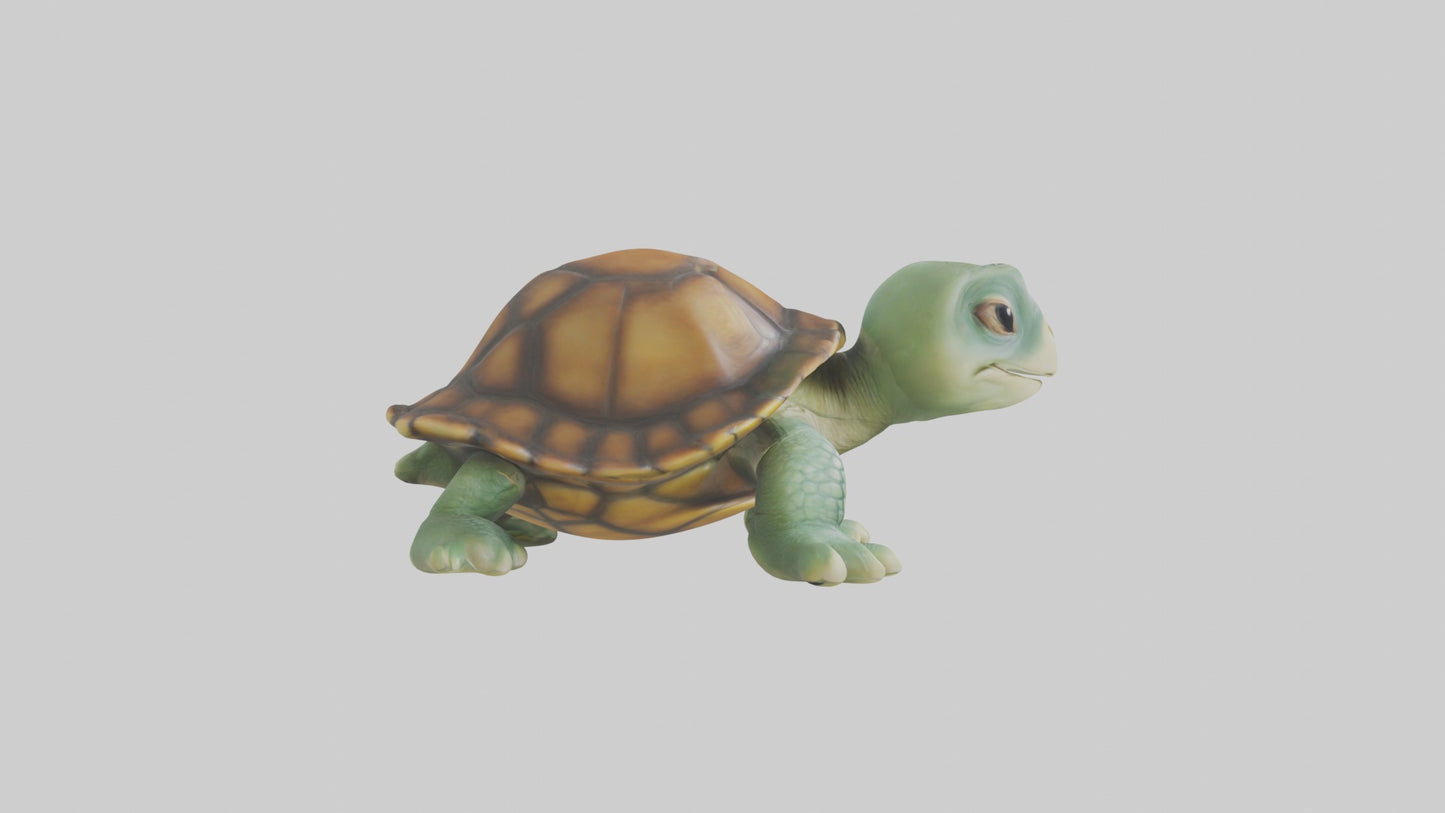 3D model Baby Turtle Model 1 VR / AR / low-poly