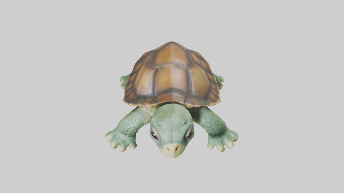 3D model Baby Turtle Model 1 VR / AR / low-poly
