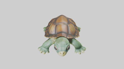 3D model Baby Turtle Model 1 VR / AR / low-poly