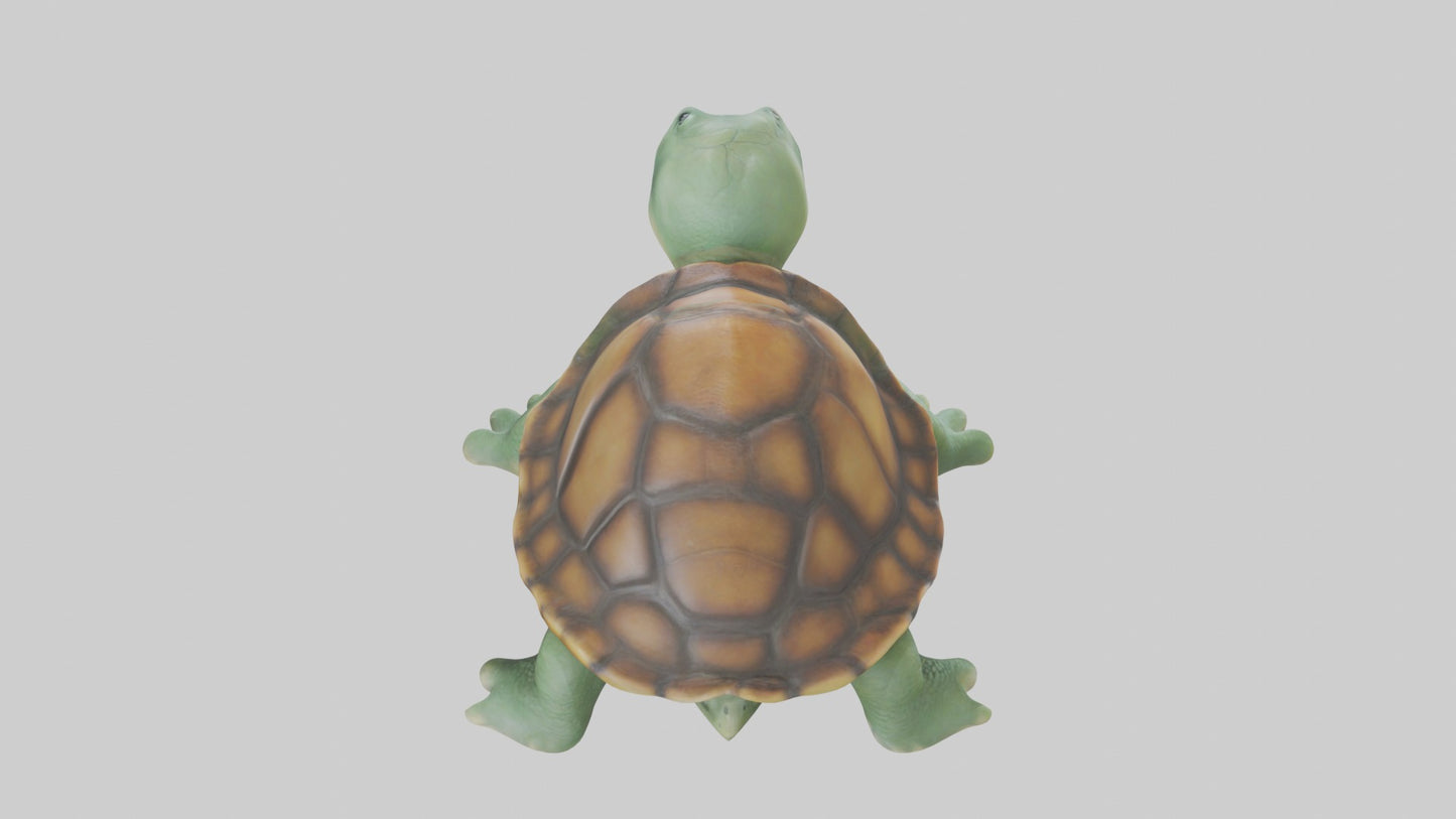 3D model Baby Turtle Model 1 VR / AR / low-poly