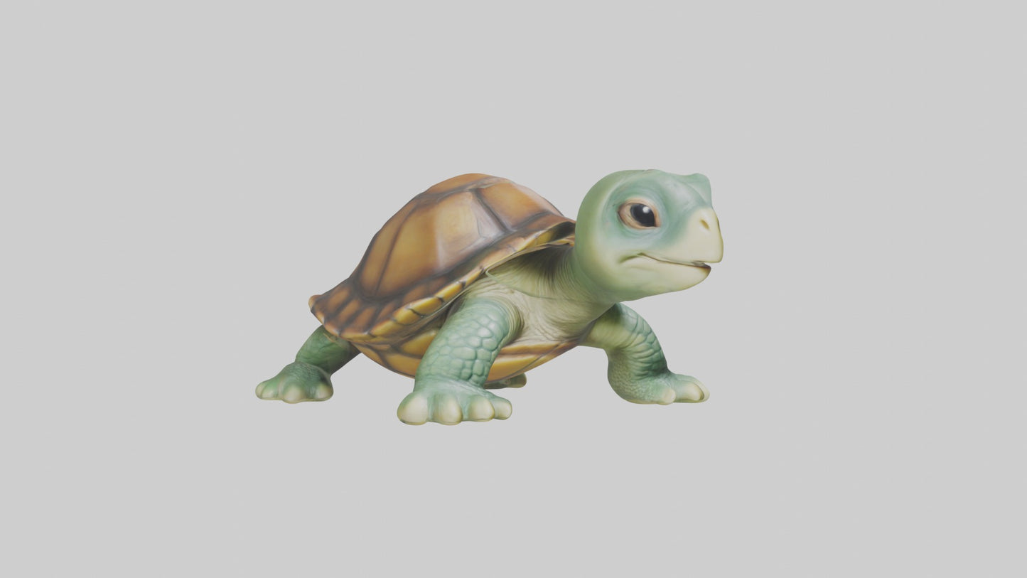 3D model Baby Turtle Model 1 VR / AR / low-poly