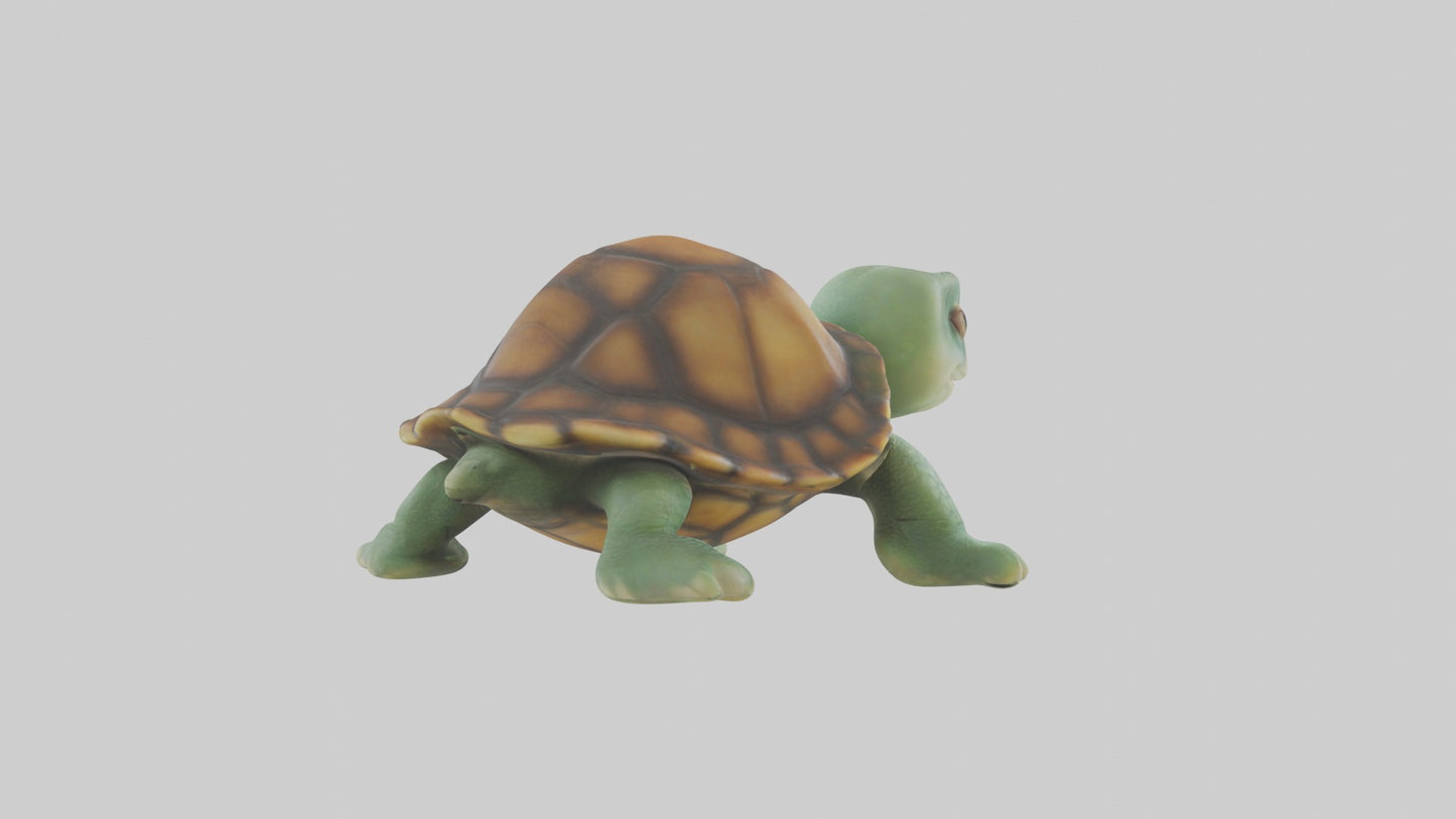 3D model Baby Turtle Model 1 VR / AR / low-poly