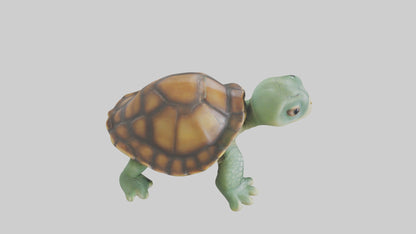 3D model Baby Turtle Model 1 VR / AR / low-poly
