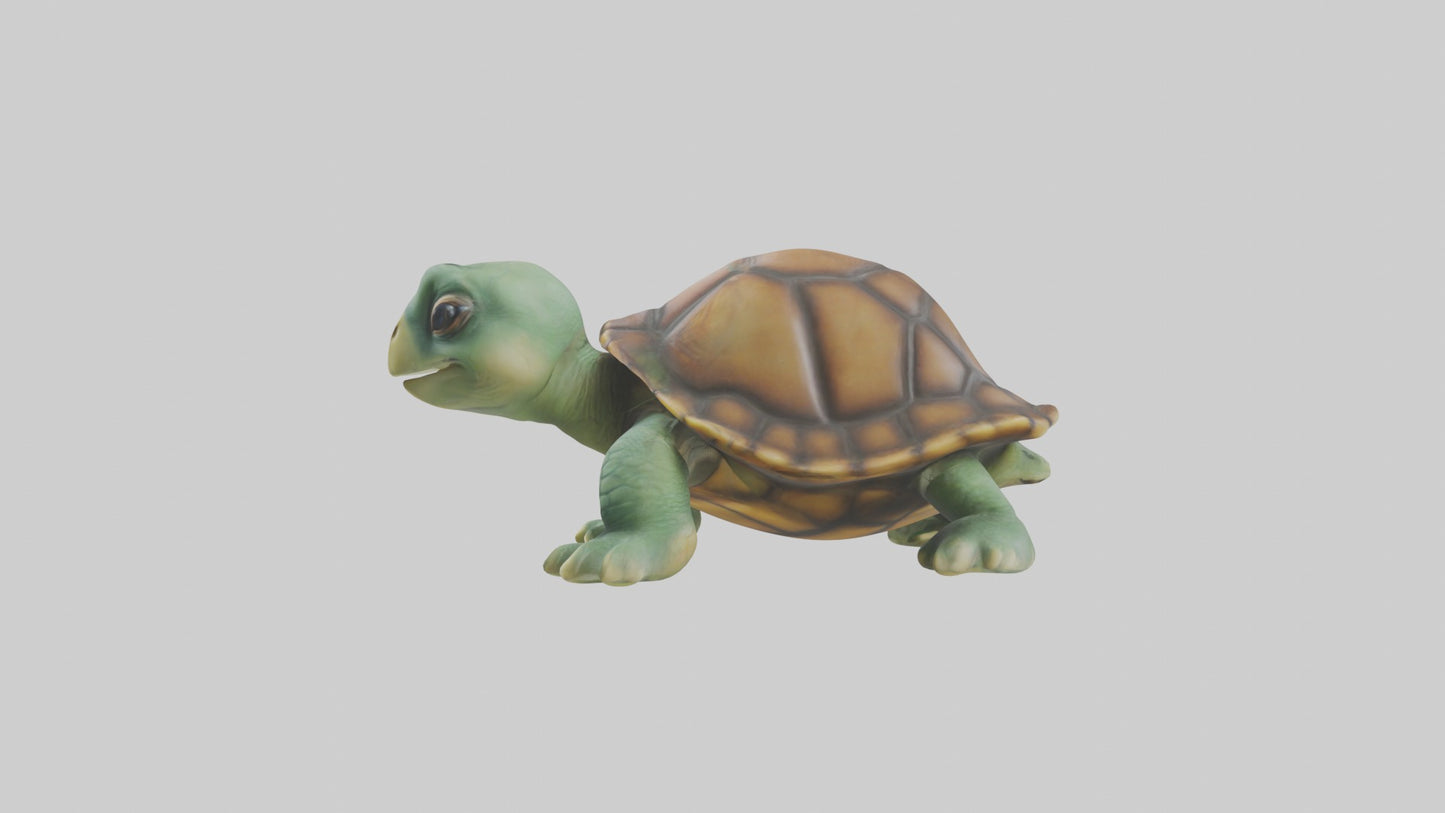 3D model Baby Turtle Model 1 VR / AR / low-poly