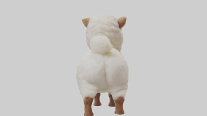 3D model Babyalpaca Model 1 VR / AR / low-poly