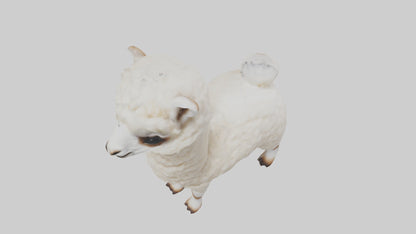 3D model Babyalpaca Model 1 VR / AR / low-poly