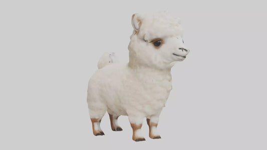 3D model Babyalpaca Model 1 VR / AR / low-poly