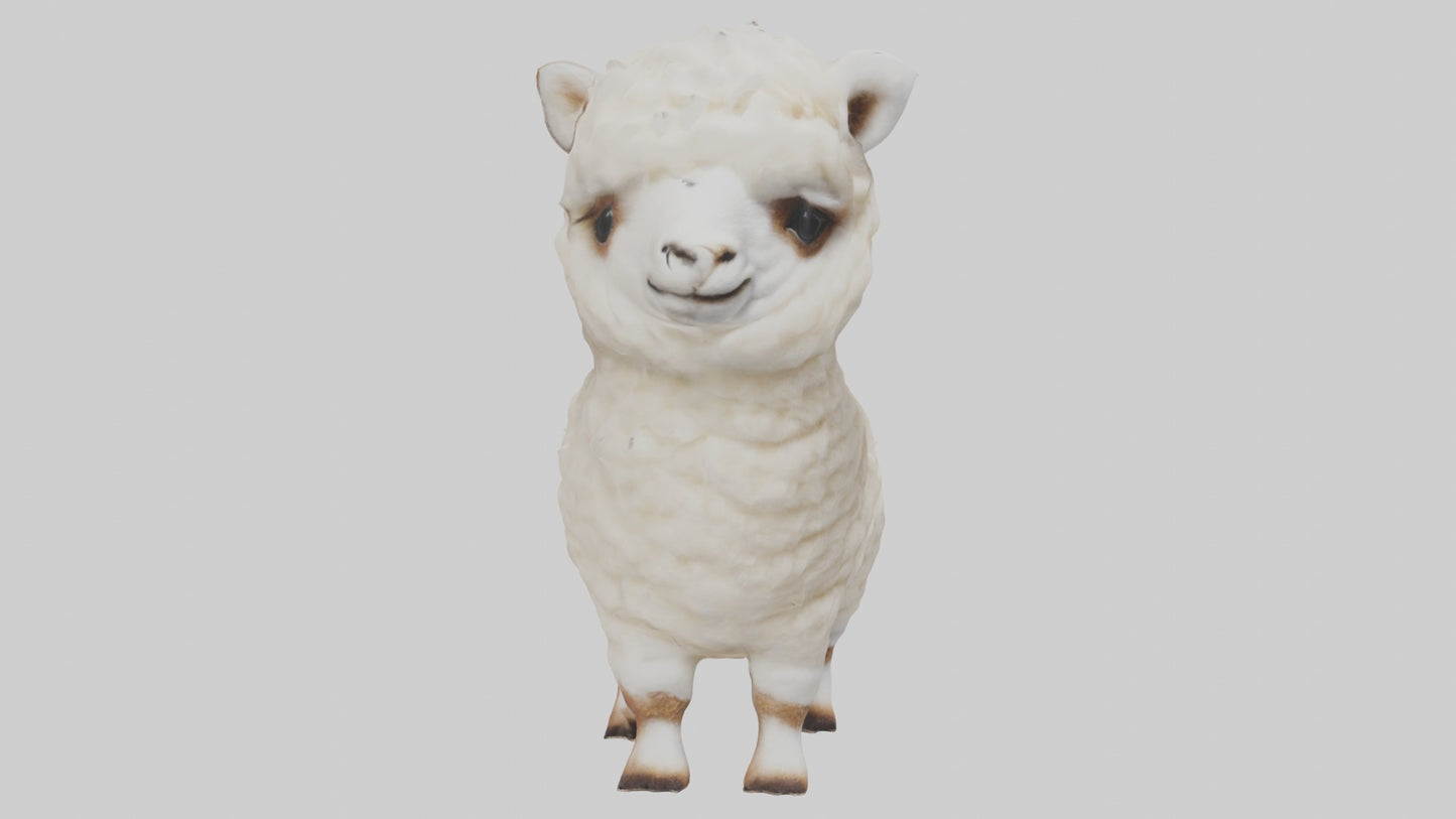 3D model Babyalpaca Model 1 VR / AR / low-poly