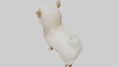 3D model Babyalpaca Model 1 VR / AR / low-poly