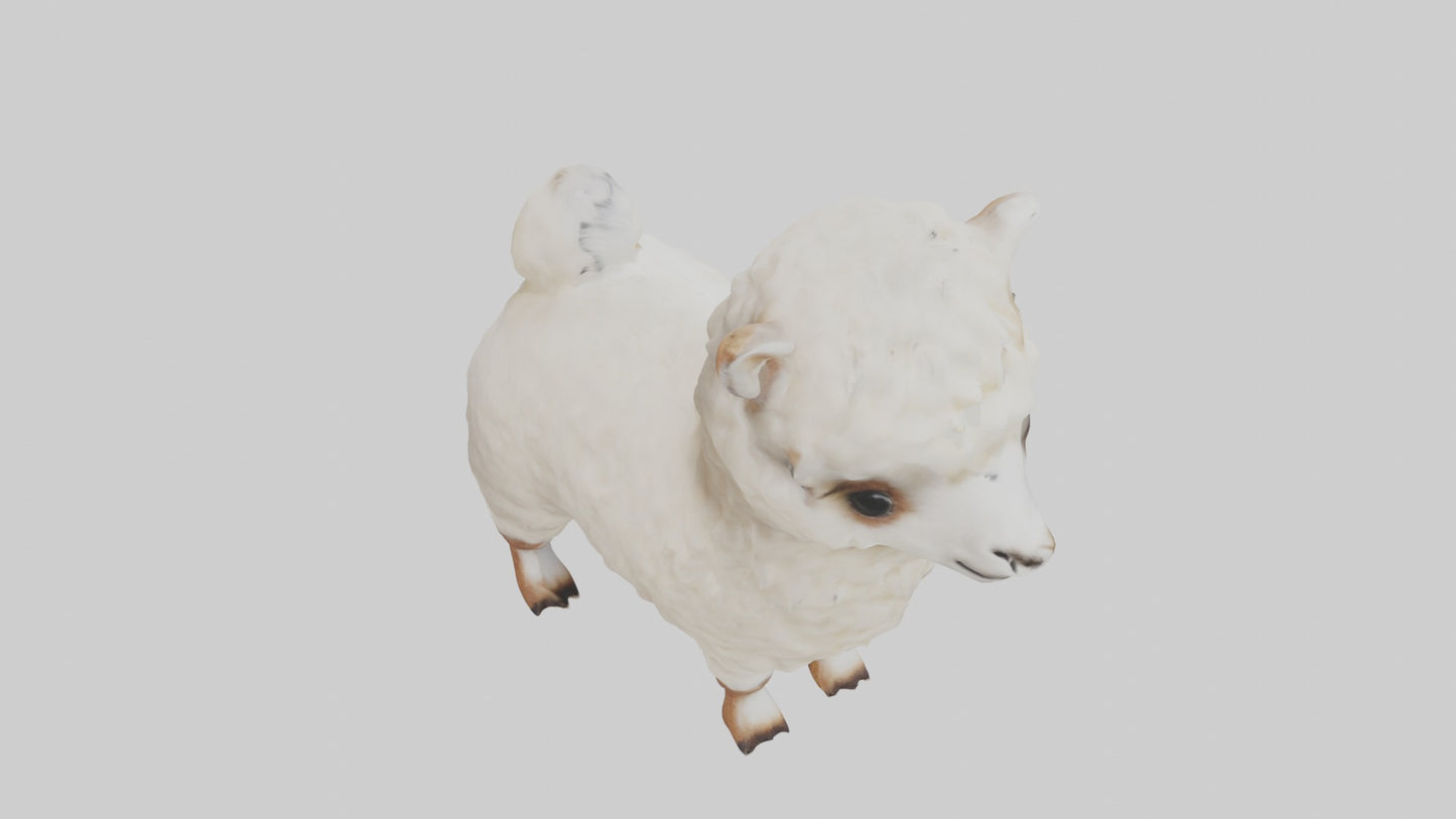 3D model Babyalpaca Model 1 VR / AR / low-poly