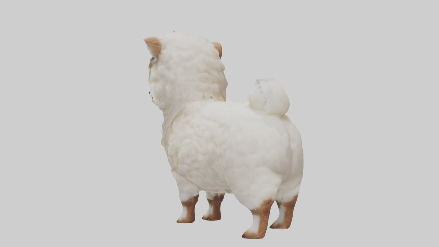 3D model Babyalpaca Model 1 VR / AR / low-poly