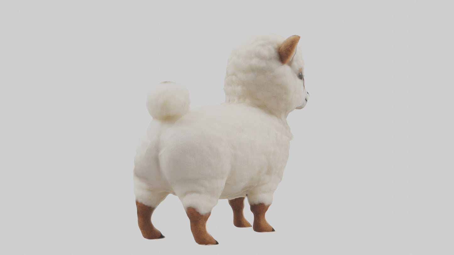 3D model Babyalpaca Model 1 VR / AR / low-poly
