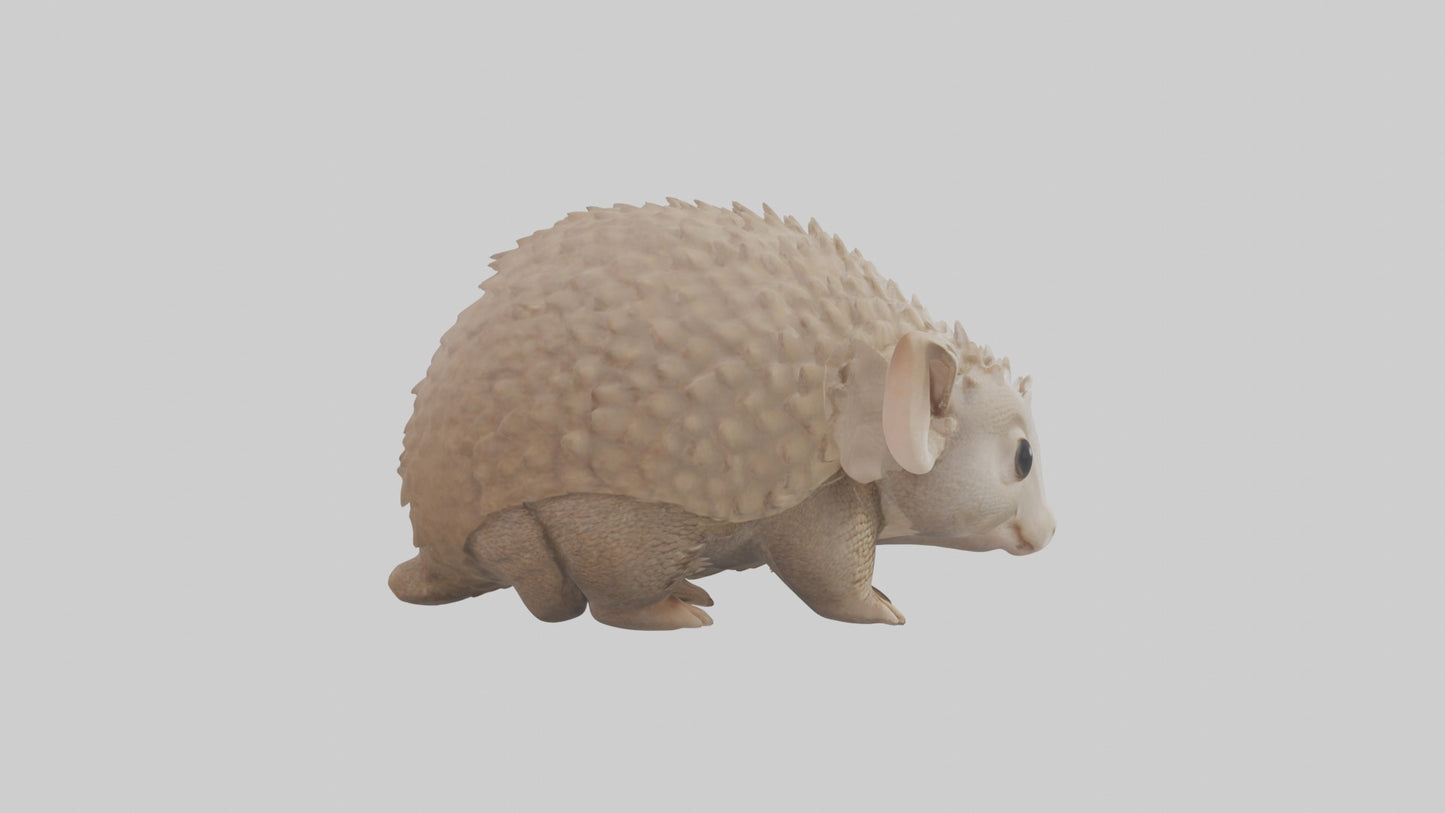3D model Babyarmadillo Model 1 VR / AR / low-poly