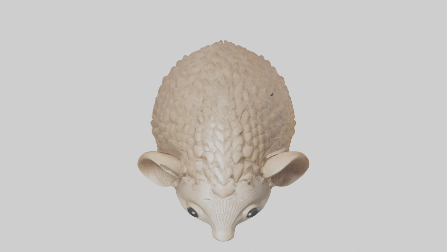 3D model Babyarmadillo Model 1 VR / AR / low-poly