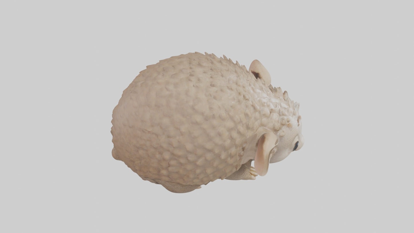 3D model Babyarmadillo Model 1 VR / AR / low-poly
