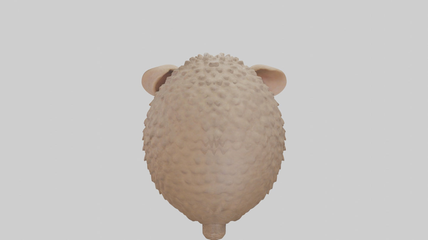 3D model Babyarmadillo Model 1 VR / AR / low-poly