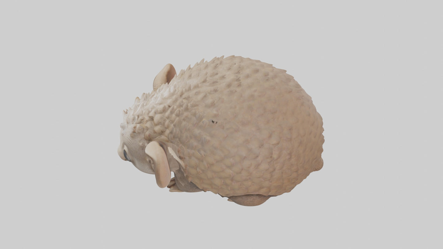 3D model Babyarmadillo Model 1 VR / AR / low-poly