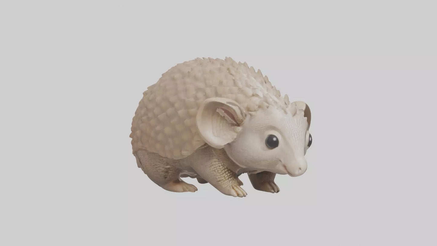 3D model Babyarmadillo Model 1 VR / AR / low-poly