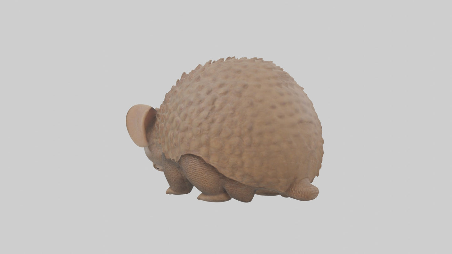 3D model Babyarmadillo Model 1 VR / AR / low-poly