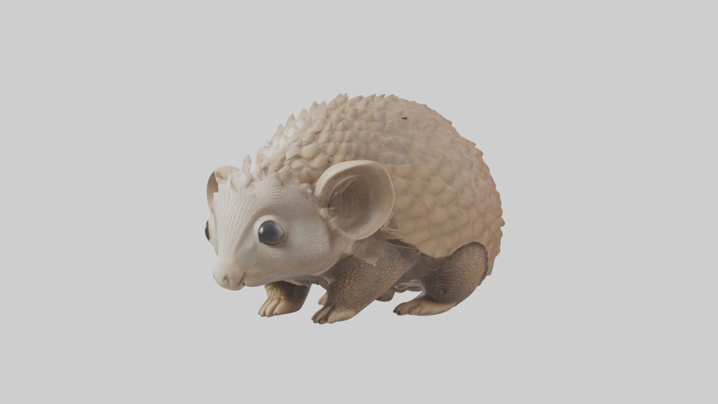 3D model Babyarmadillo Model 1 VR / AR / low-poly