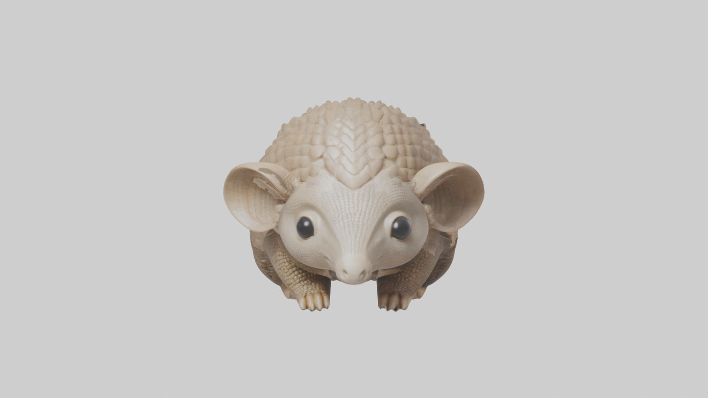 3D model Babyarmadillo Model 1 VR / AR / low-poly