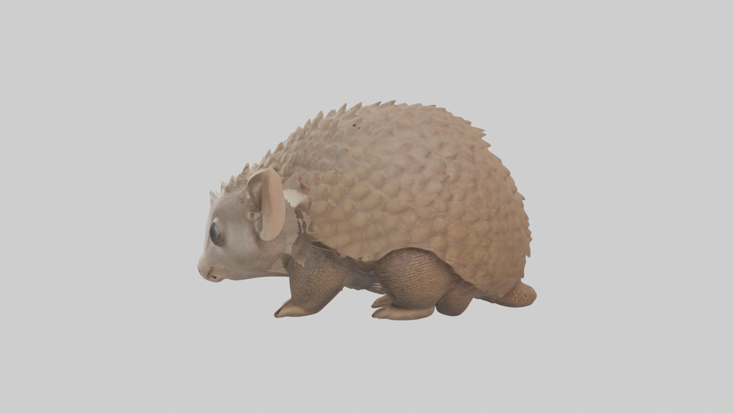 3D model Babyarmadillo Model 1 VR / AR / low-poly
