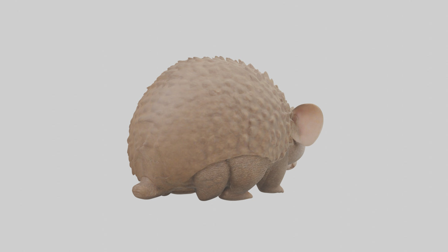3D model Babyarmadillo Model 1 VR / AR / low-poly