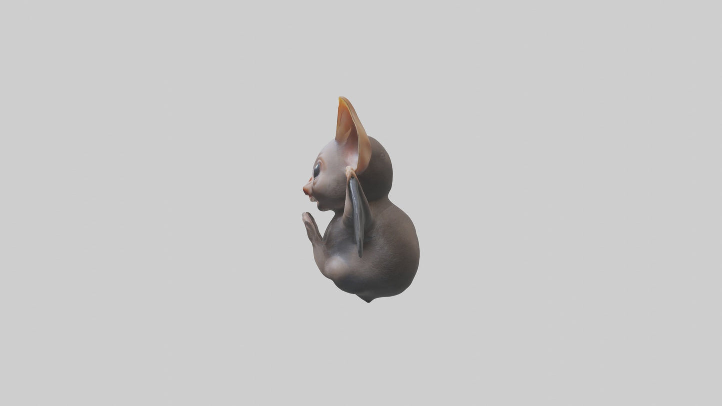 3D model Babybat Model 1 VR / AR / low-poly