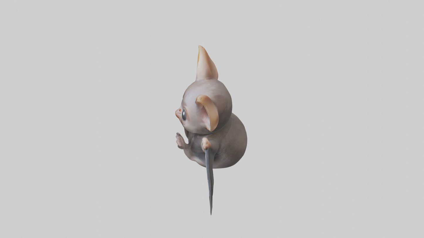 3D model Babybat Model 1 VR / AR / low-poly