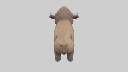 3D model Babybison Model 1 VR / AR / low-poly