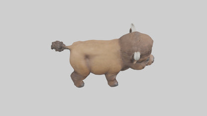 3D model Babybison Model 1 VR / AR / low-poly