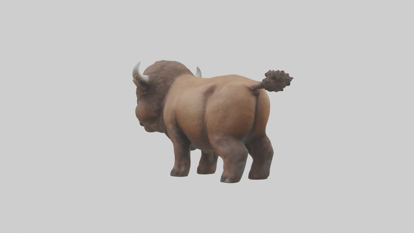 3D model Babybison Model 1 VR / AR / low-poly