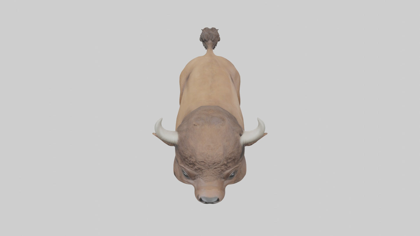3D model Babybison Model 1 VR / AR / low-poly