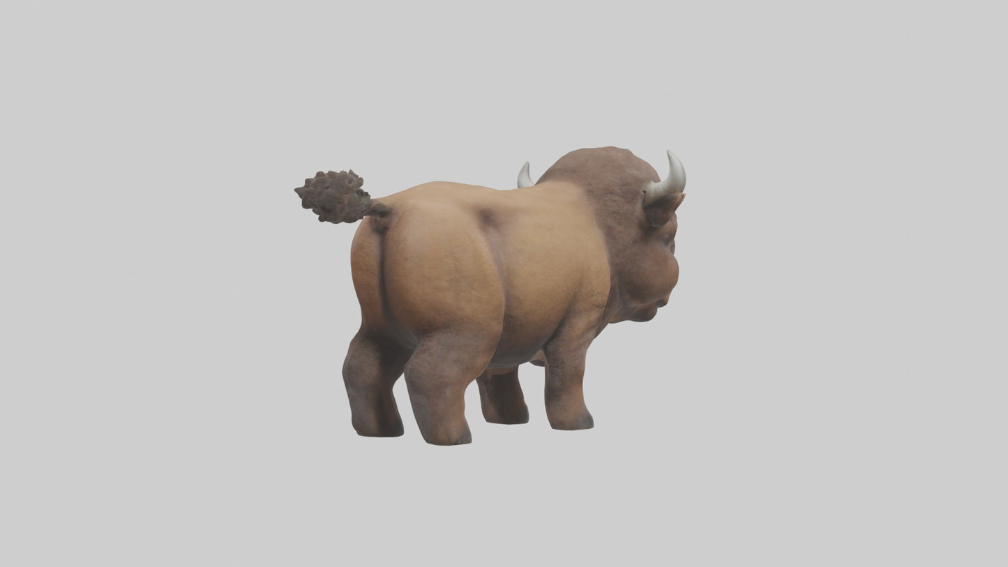 3D model Babybison Model 1 VR / AR / low-poly