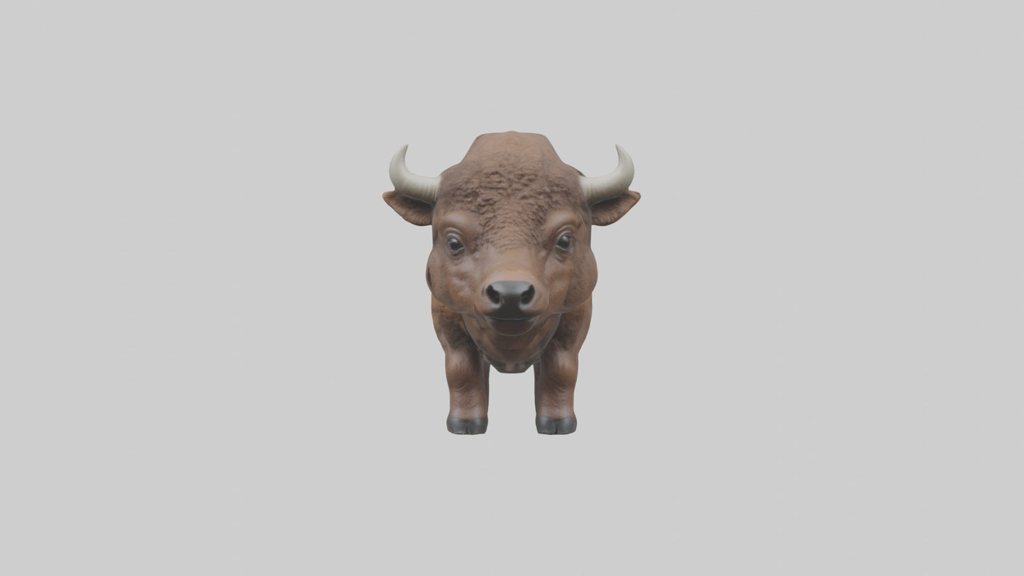 3D model Babybison Model 1 VR / AR / low-poly