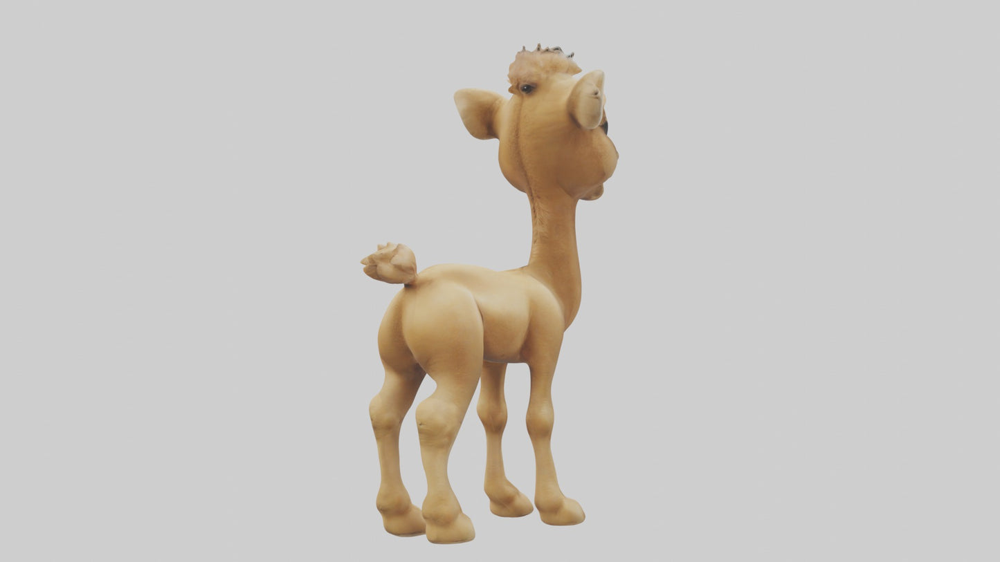 3D model Babycamel Model 1 VR / AR / low-poly