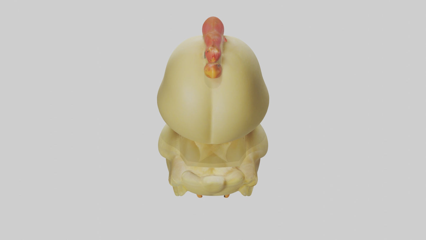 3D model Babychicken Model 1 VR / AR / low-poly