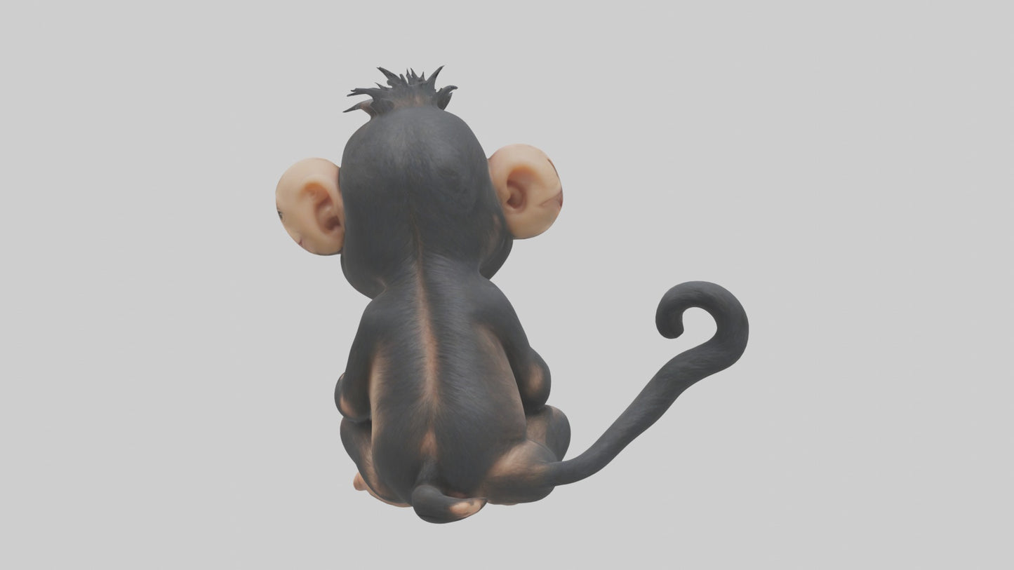 3D model Babychimpanzee Model 1 VR / AR / low-poly