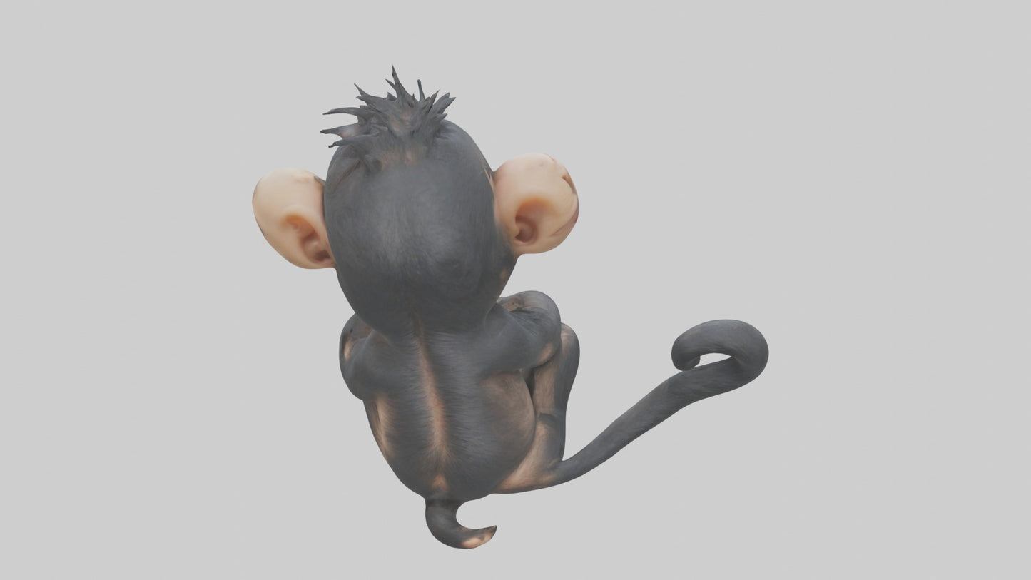 3D model Babychimpanzee Model 1 VR / AR / low-poly