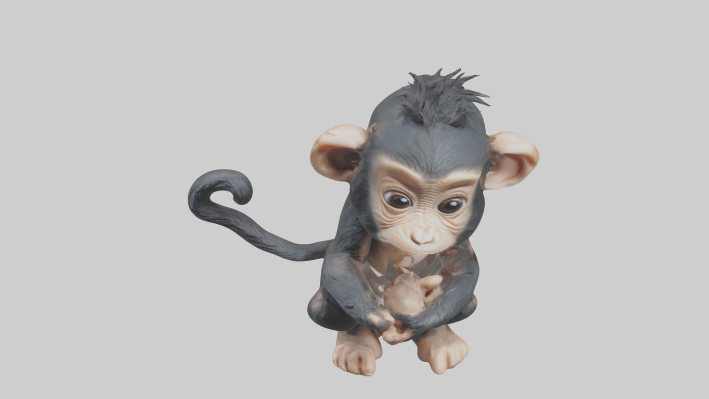 3D model Babychimpanzee Model 1 VR / AR / low-poly