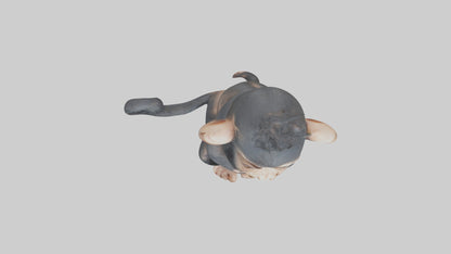 3D model Babychimpanzee Model 1 VR / AR / low-poly