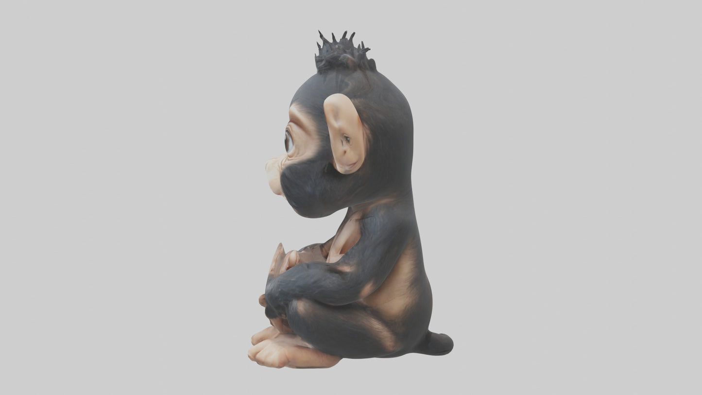 3D model Babychimpanzee Model 1 VR / AR / low-poly