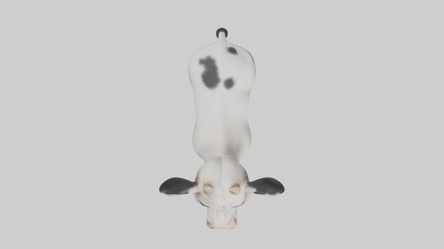 3D model Babycow Model 1 VR / AR / low-poly