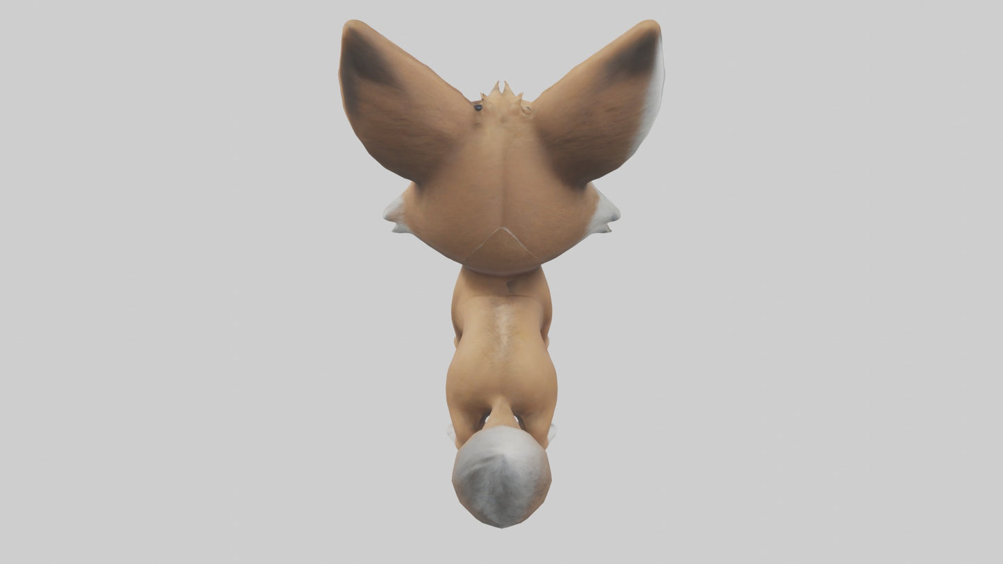 3D model Babycoyote Model 1 VR / AR / low-poly
