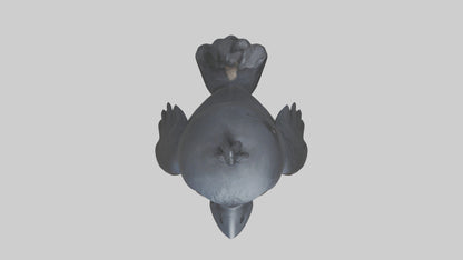 3D model Babycrow Model 1 VR / AR / low-poly