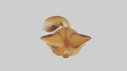 3D model Babydingo Model 1 VR / AR / low-poly