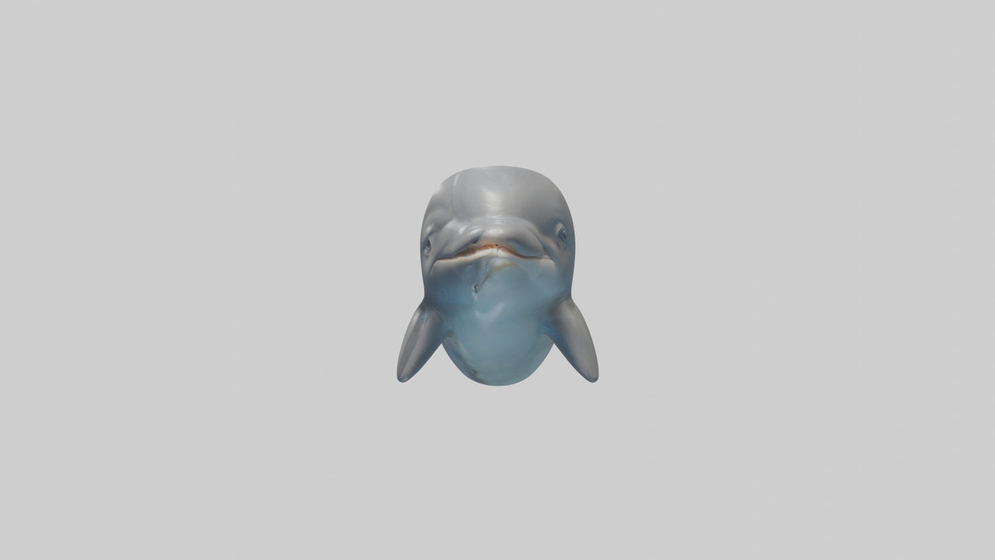 3D model Babydolphin Model 1 VR / AR / low-poly