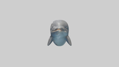 3D model Babydolphin Model 1 VR / AR / low-poly