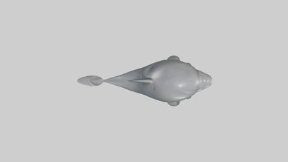 3D model Babydolphin Model 1 VR / AR / low-poly